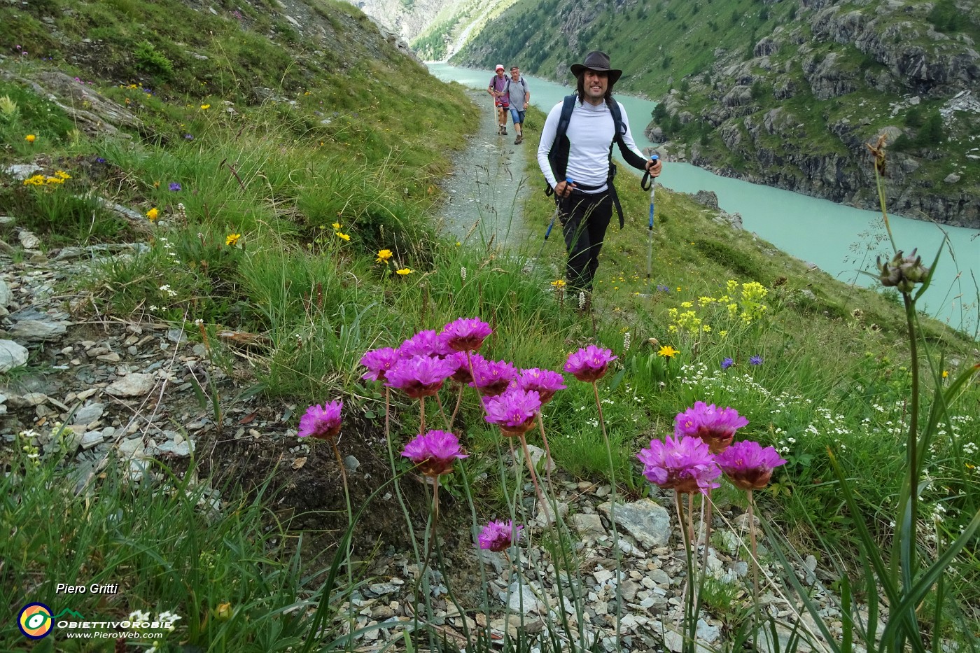 20 Fioriture al lago di Alpe Gera .JPG